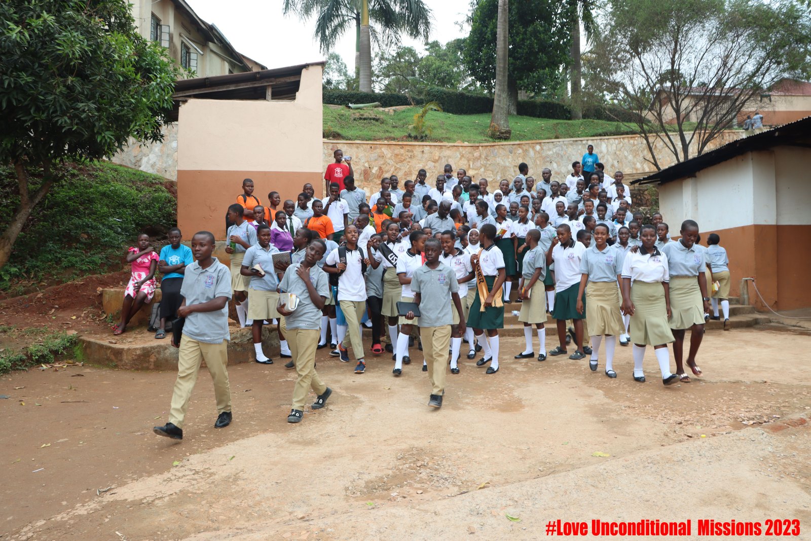 Schools - Library